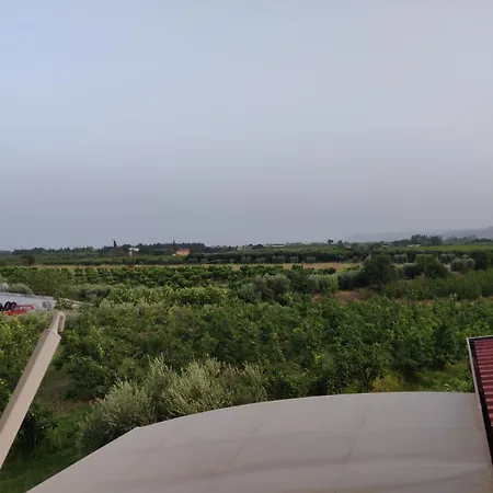 La Lavanda Piano di Santa Laura